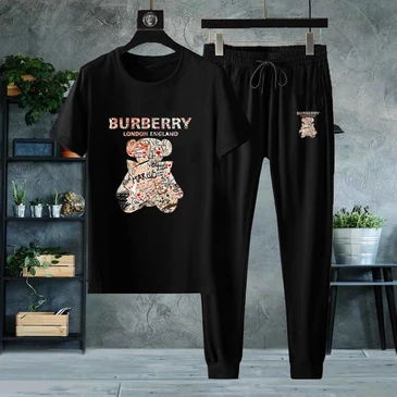 Burberry Men Fashionable Tracksuits #21875