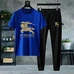 3Burberry Men Fashionable Tracksuits #21878