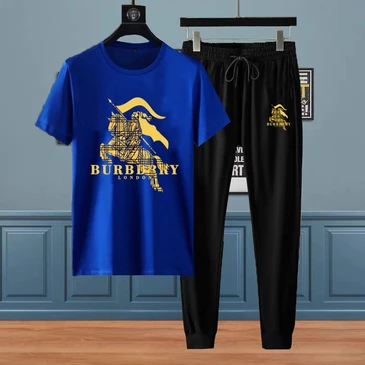 Burberry Men Fashionable Tracksuits #21880