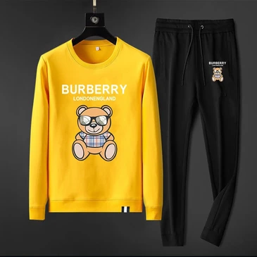 Burberry Fashionable Tracksuits #21418