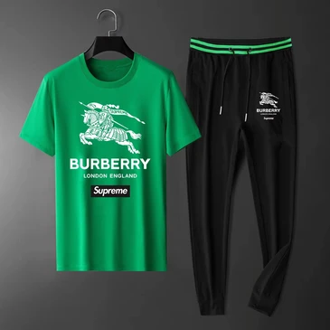 Burberry Fashionable Tracksuits #21405