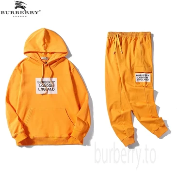 Burberry Fashion Tracksuits #22880