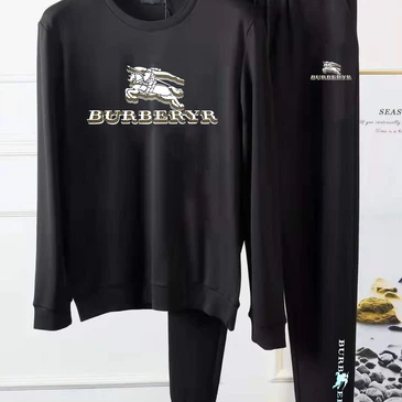 Burberry Fashionable Tracksuits #21036