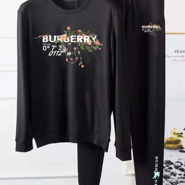 Burberry Fashionable Tracksuits #21042