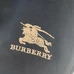 7Burberry Men Fashionable Tracksuits #21053