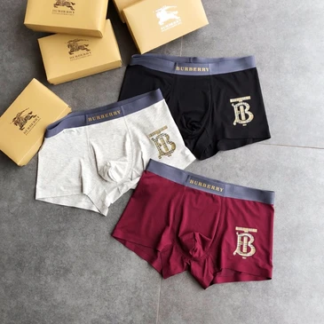 Burberry Men Fashionable Underwears #24833