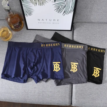 Burberry Men Fashionable Underwears #25252