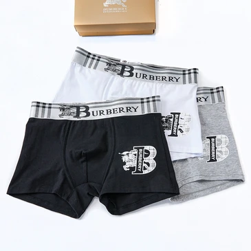 Burberry Fashionable Underwears #25202