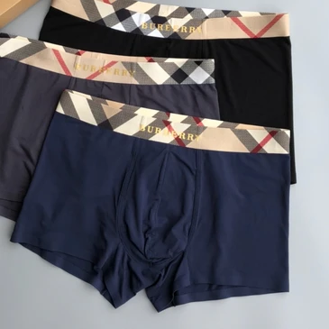 Burberry Men Fashionable Underwears #25180