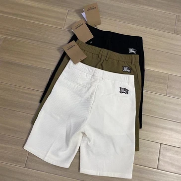 Burberry Fashionable Pants #22967