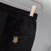 10Burberry Men Fashionable Pants #22623