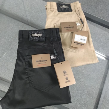 Burberry Fashionable Pants #22593