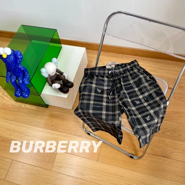 Burberry Fashionable Pants #24471