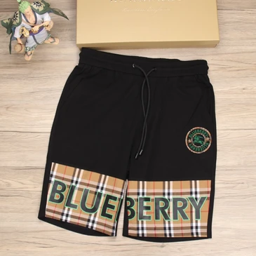 Burberry Fashionable Pants #22541