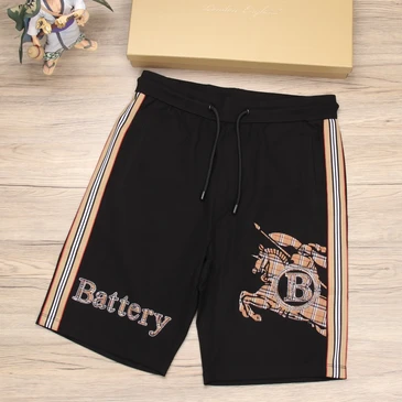 Burberry Fashionable Pants #22544