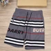 3Burberry Fashionable Pants #23395