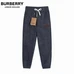 4Burberry Fashionable Pants #22367