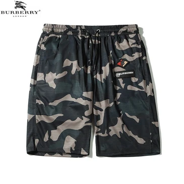 Burberry Pants Shorts For Men #20820