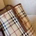 6Burberry Fashionable Handbags #21145