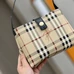 10Burberry Fashionable Handbags #21162