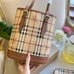 6Burberry Fashionable Handbags #21110