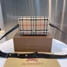 1Burberry Fashionable Messenger Bags #21122