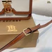 9Burberry Fashionable Messenger Bags #21167