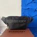 3Burberry Unisex Fashionable Messenger Bags #21182